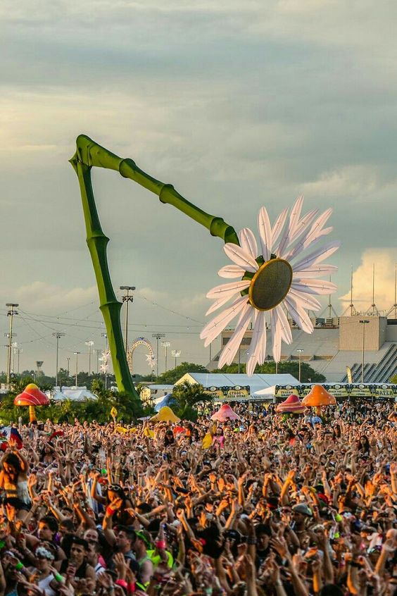 Electronic Dance Carnival